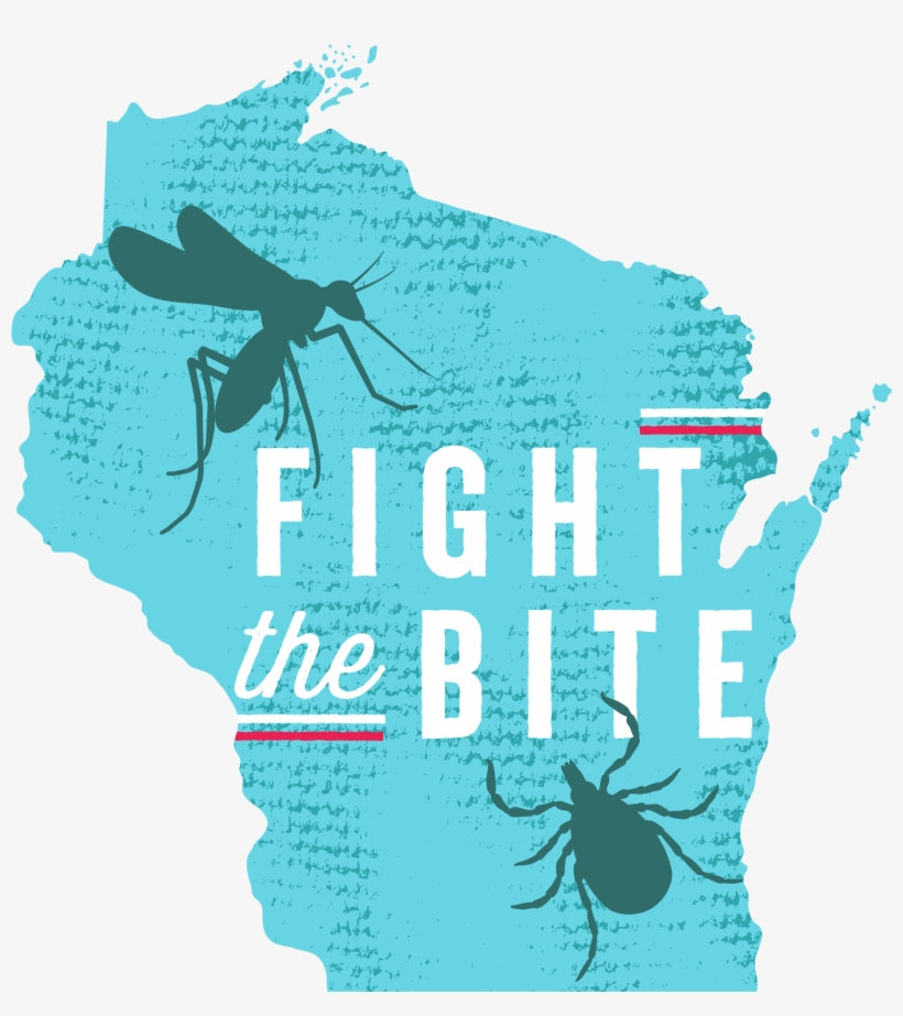 Balsam Lake Polk County Health Department Reports Two - Poster On Vector Borne Diseases, transparent png download