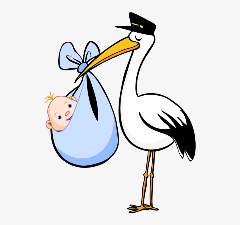 Baby Boy Stork, transparent png download