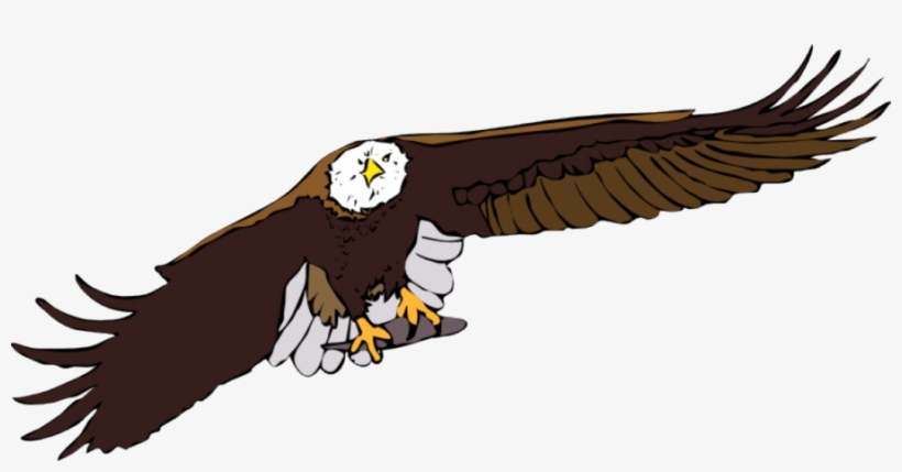 Download Flying Eagle Clipart Bald Eagle White-tailed - Flying Eagle Clipart, transparent png download