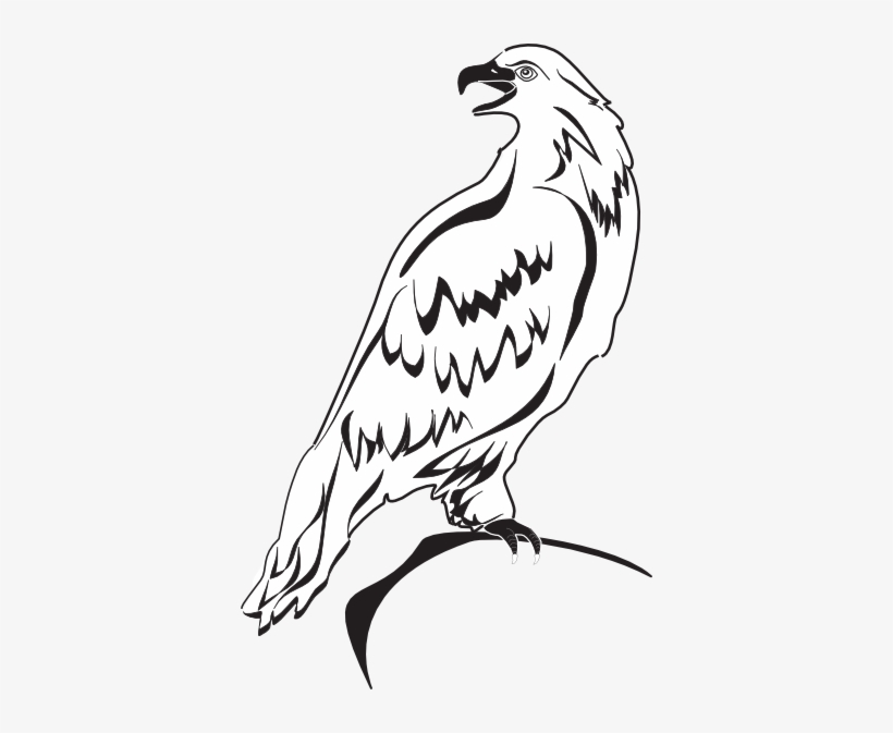 Outline Clip Art At Clker Com Vector - Outline Image Of Eagle, transparent png download