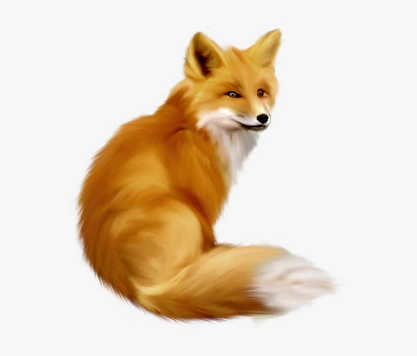 Fox Clipart, transparent png download