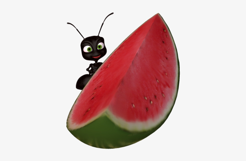 Watermelon Clip Art - Watermelon And Ants Clipart, transparent png download