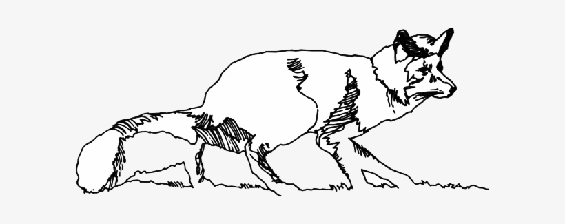 Fox Black And White Fox Sketch Svg Downloads Black - Fox And Grapes Outline, transparent png download