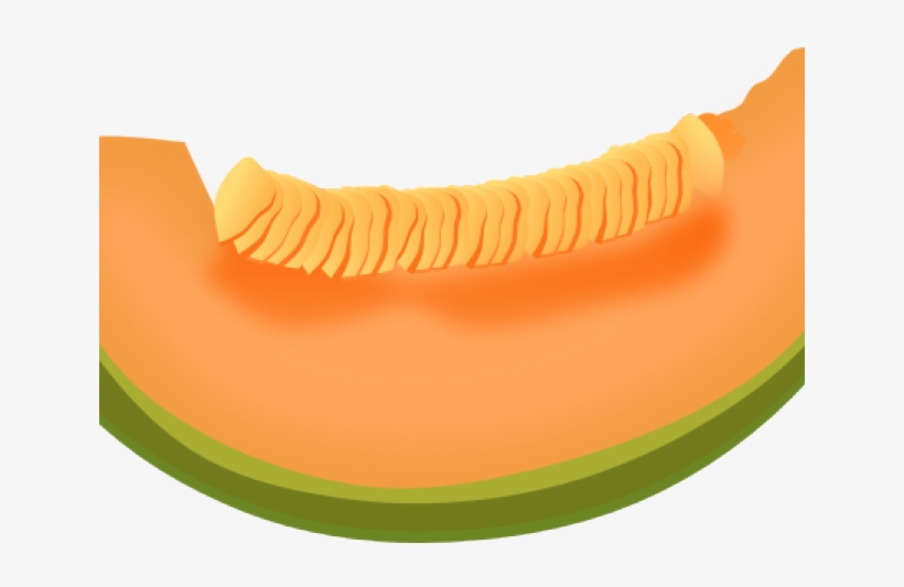 Watermelon Clipart Cantaloupe - วาด รูป แคน ตา ลู ป, transparent png download