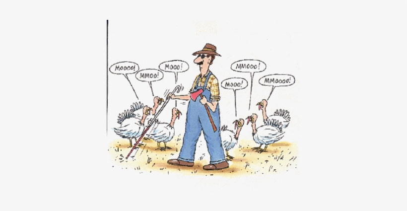 Thanksgiving Turkey Use These Beautiful Free Thanksgiving - Happy Thanksgiving Unique, transparent png download