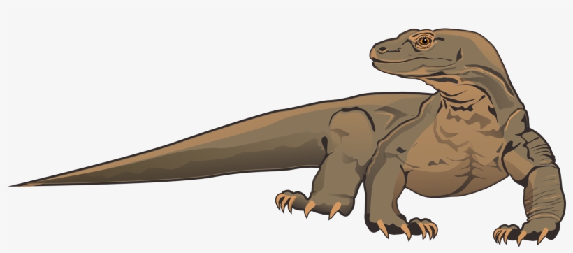Komodo Dragon Clip Art Free Free Clipart Images - Komodo Dragon Clipart, transparent png download