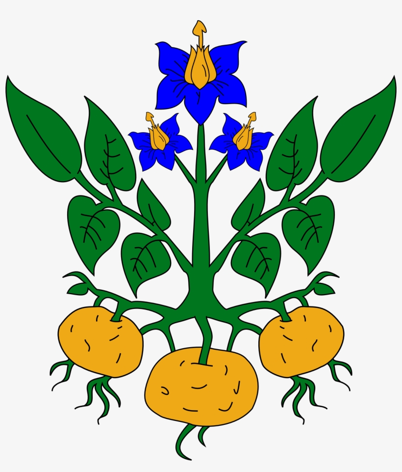 The Plants Clipart - Potato Plant Clipart, transparent png download