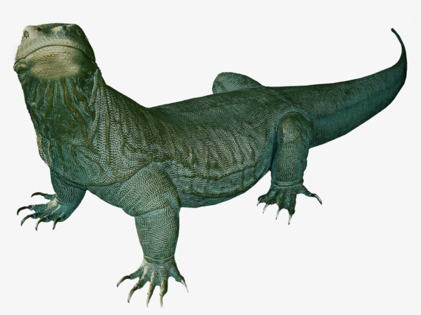Komodo Dragon Clip Art - Komodo Dragon No Background, transparent png download