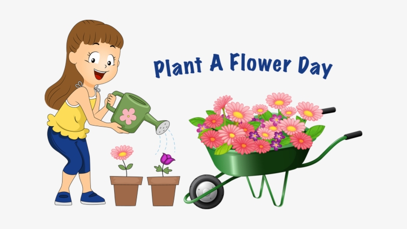 Plant A Flower Dayjcb Specialties - Flower, transparent png download