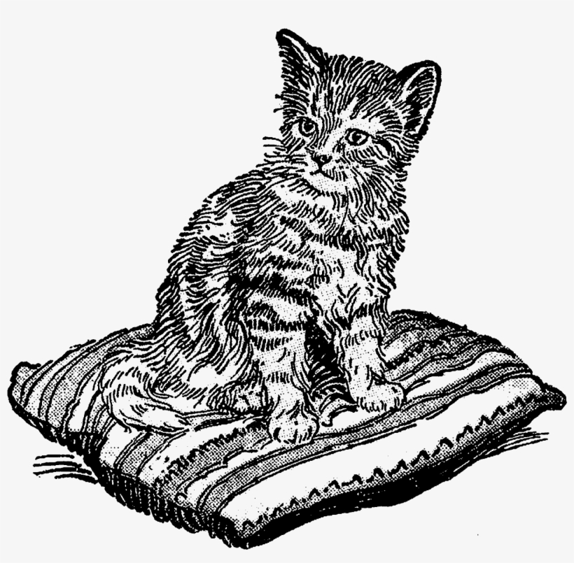 Digital Kitten Clip Art Downloads - Illustration, transparent png download
