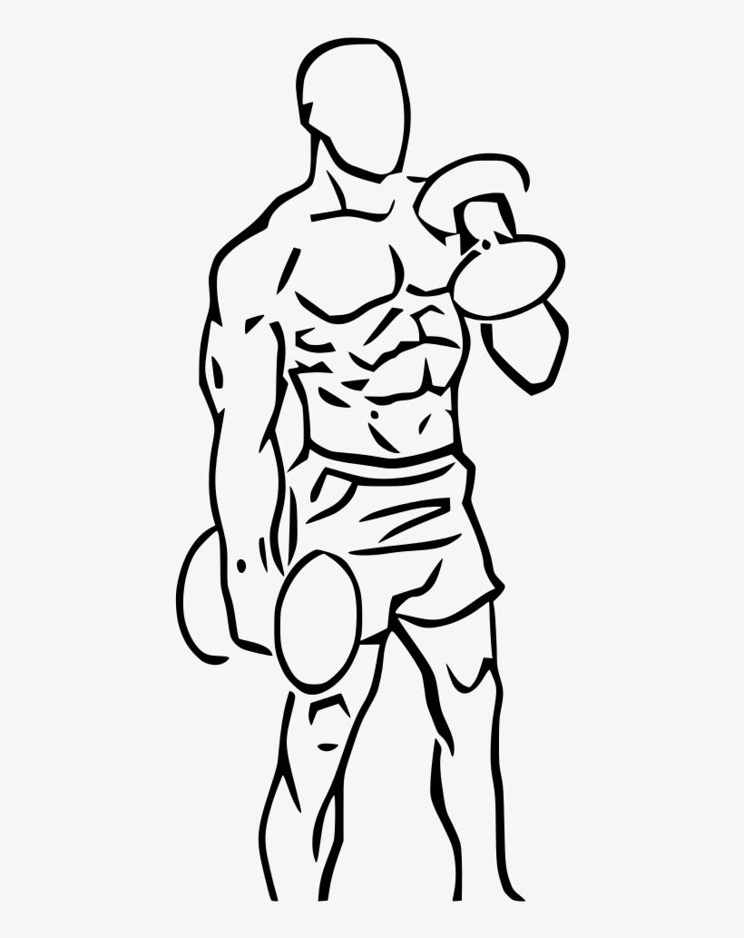 This Image Rendered As Png In Other Widths - Alternate Bicep Curls, transparent png download