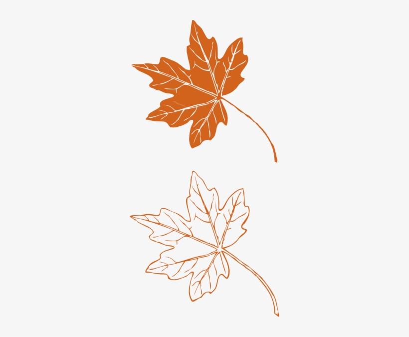 How To Set Use Leaf Outline Svg Vector, transparent png download
