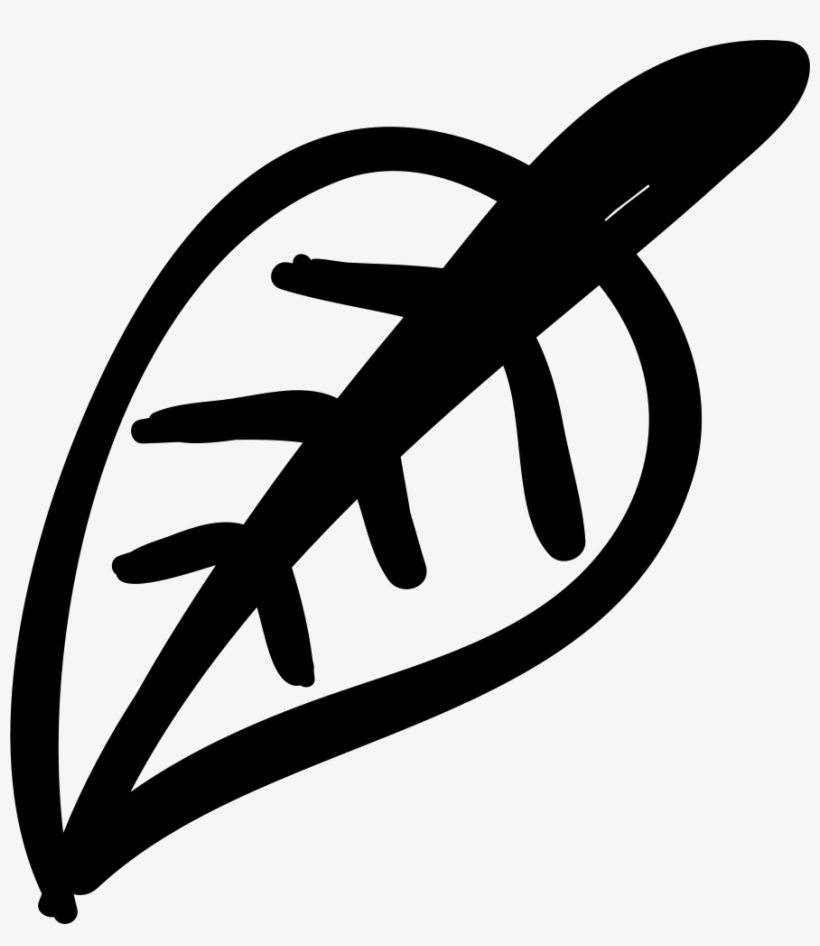 Leaf Outline - - Portable Network Graphics, transparent png download