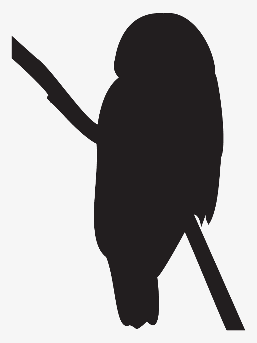 Barred Owl Overview, All About Birds, Cornell Lab Of - Northern Spotted Owl Silhouette, transparent png download