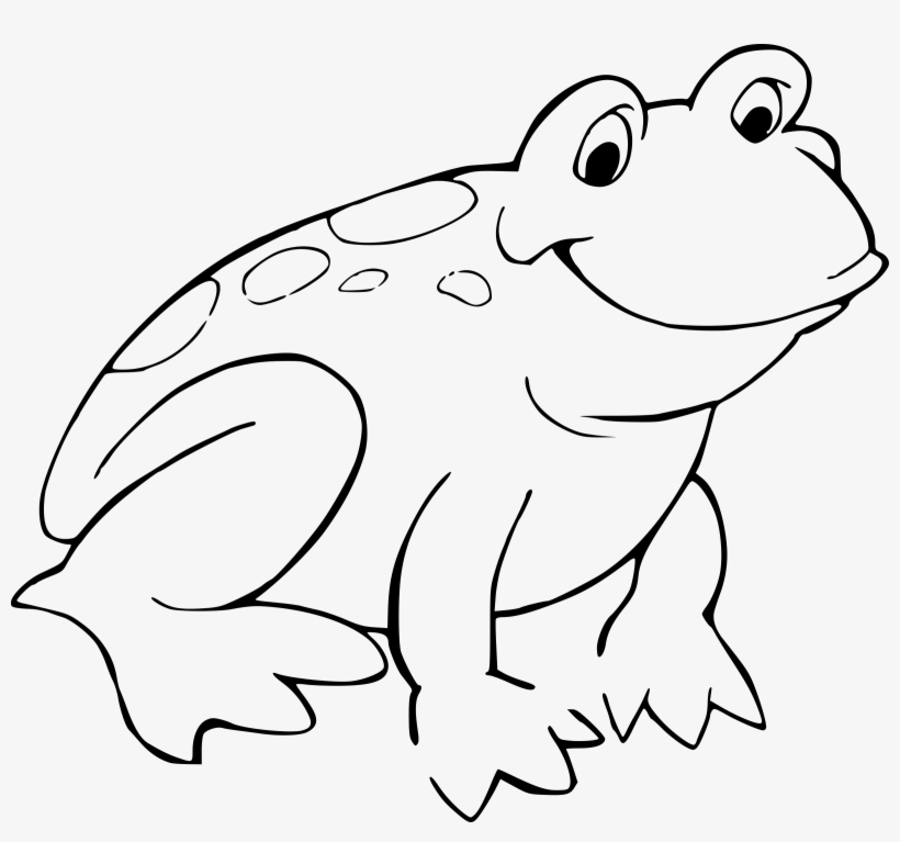 Banner Library Stock Grenouille Big Image Png - Colouring Page Of Frog, transparent png download