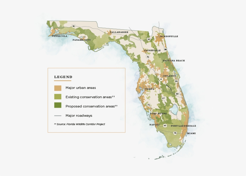 Florida Map Displaying The Existing Proposed And Urban - Florida Bonneted Bat Map, transparent png download