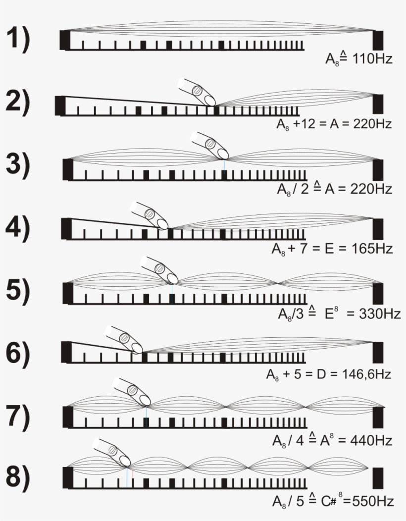String Harmonics, transparent png download