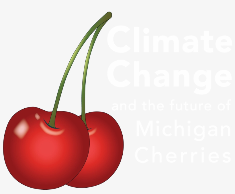 Ecology, transparent png download