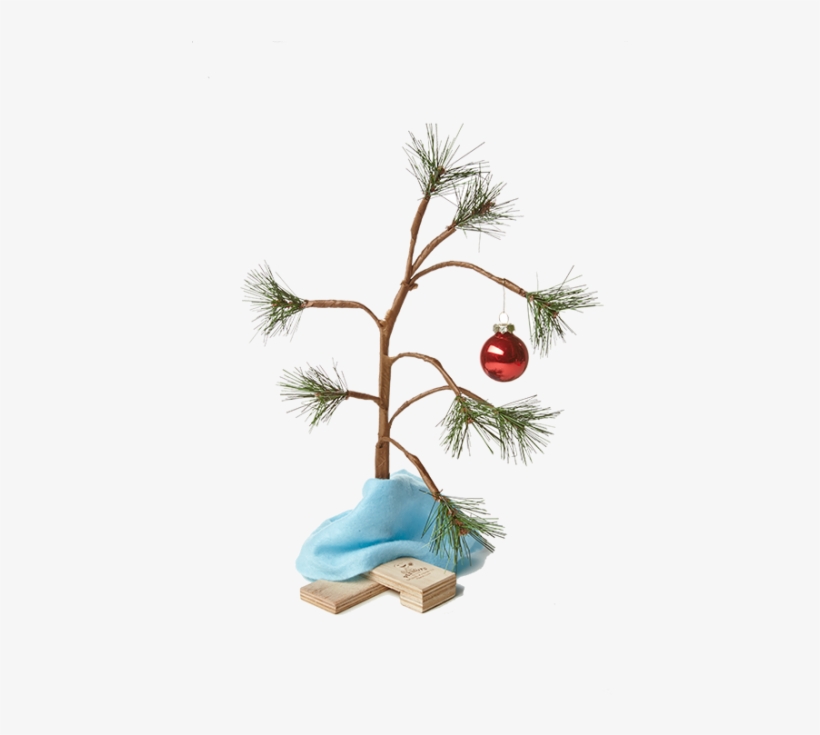 Charlie Brown Christmas Tree Png, transparent png download