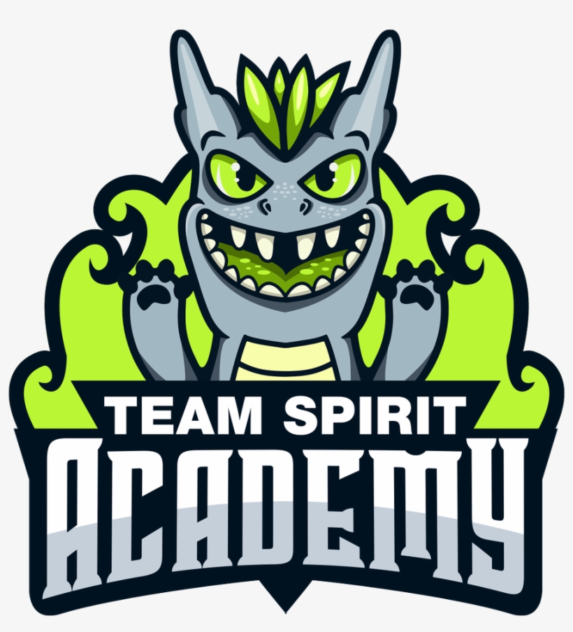 Team Information - Spirit Academy Cs Go, transparent png download
