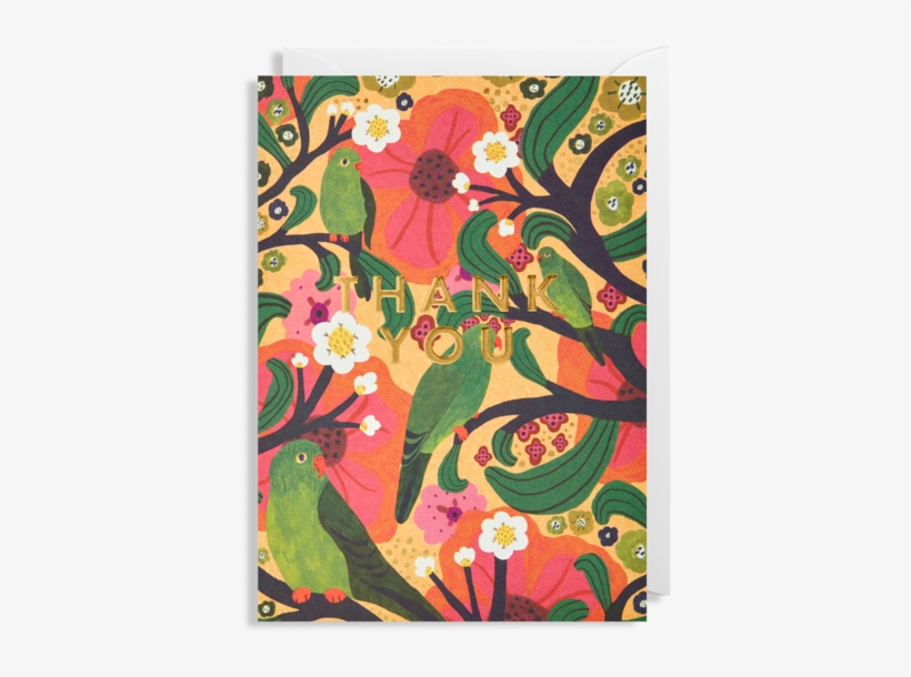 Thank You Parrots Greeting Card - Greeting Card, transparent png download