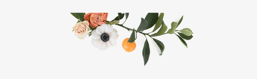 Garden Roses, transparent png download