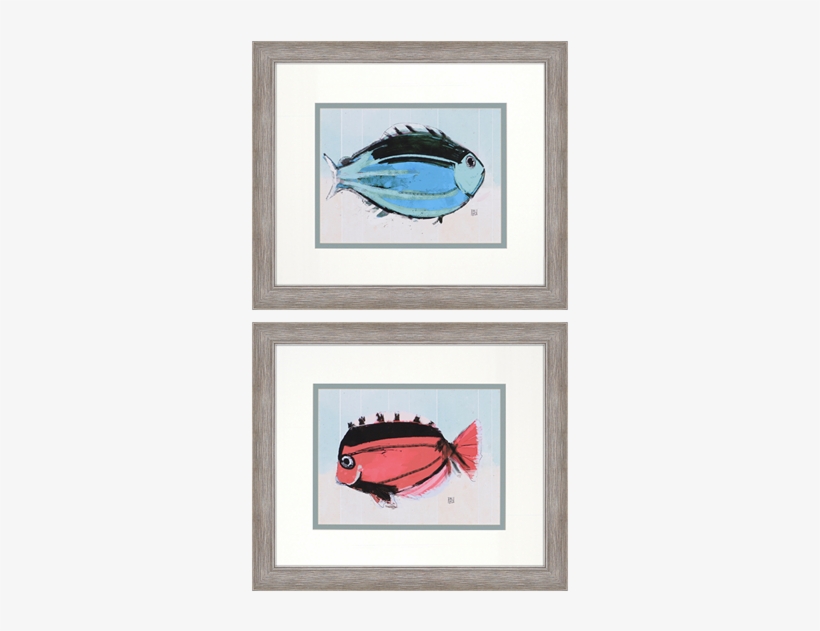 School Of Fish I Pk/2 - Paragon School Of Fish I 2 Piece Framed Wall Art Set, transparent png download