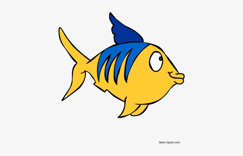 Colorful Fish Marine Animal Free Clipart - Coral, transparent png download