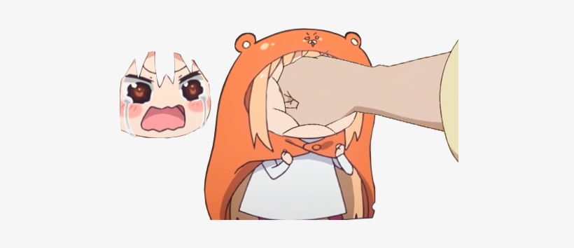 View Samegoogleiqdbsaucenao Umaru Punch , - Cartoon, transparent png download