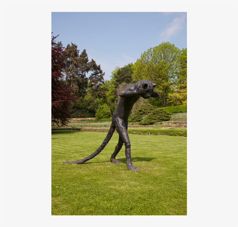 Emissary Cat - Laura Ford Of Sullivan, transparent png download