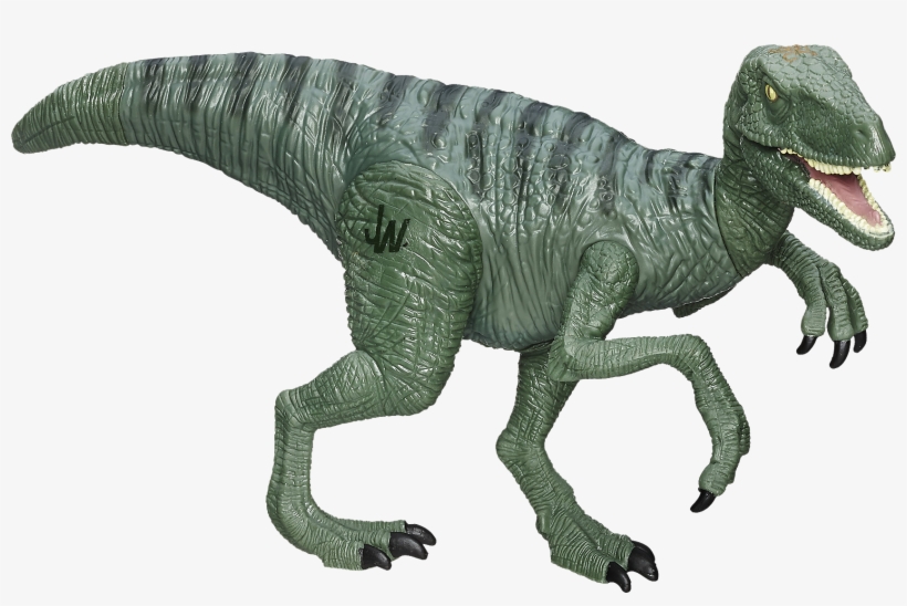 Velociraptor Charlie 6” Action Figure - Jurassic World Mattel Raptor, transparent png download