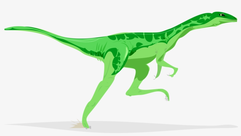 Stegosaurus Apatosaurus Dinosaur Velociraptor Computer - Dinosaur Running Gif Png, transparent png download