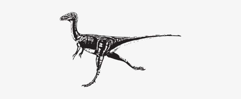 100 Dinoprints Messages Sticker-7 - Compsognathus Dinosaur, transparent png download