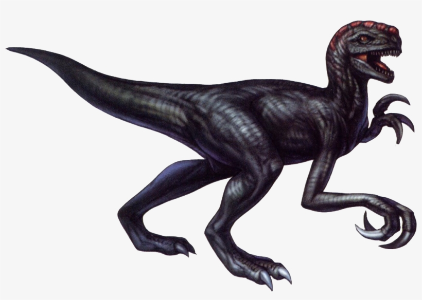 Only Problem Is, This Game Came Out When They Really - Dino Crisis 2 Official Guide, transparent png download