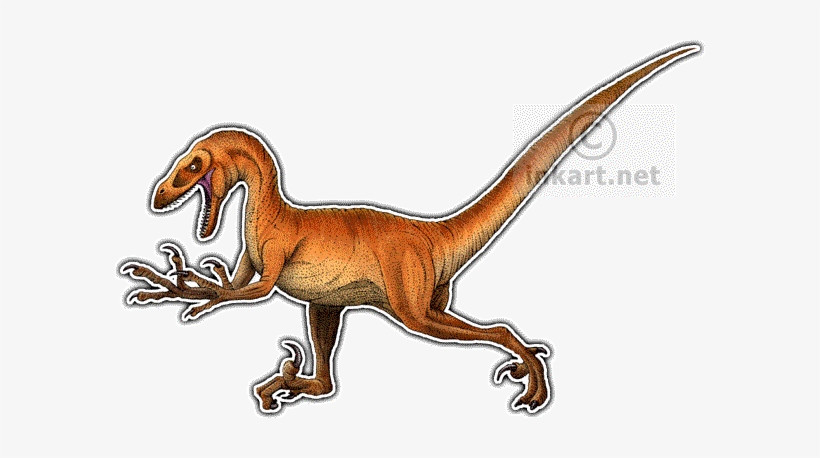 Velociraptor Decal - Velociraptor Oval Car Magnet, transparent png download