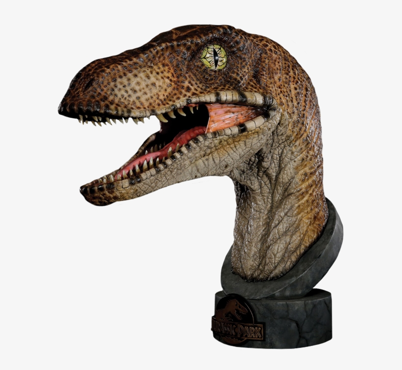 1 Scale Life Size Bust - Velociraptor Head Jurassic Park, transparent png download