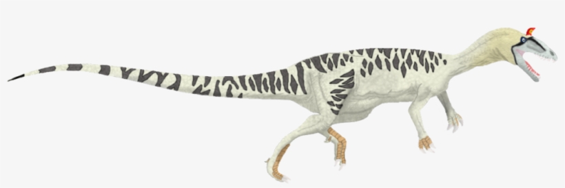 User Posted Image - User, transparent png download