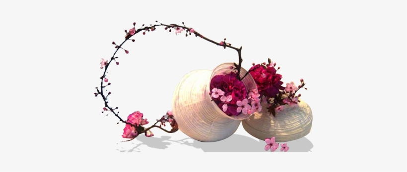 Myriad Of Colors And Species Of Spring Flowers - Blossom Spring Png Transparent, transparent png download