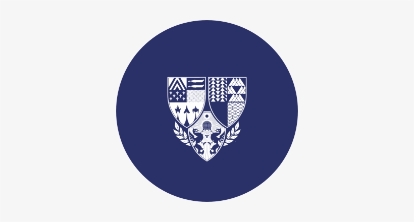 Destiny Age Of Triumph Shirt, transparent png download