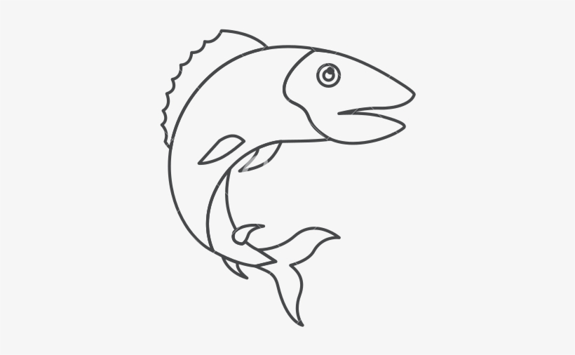 Trout Fish Drawing At Getdrawings - Sketch, transparent png download