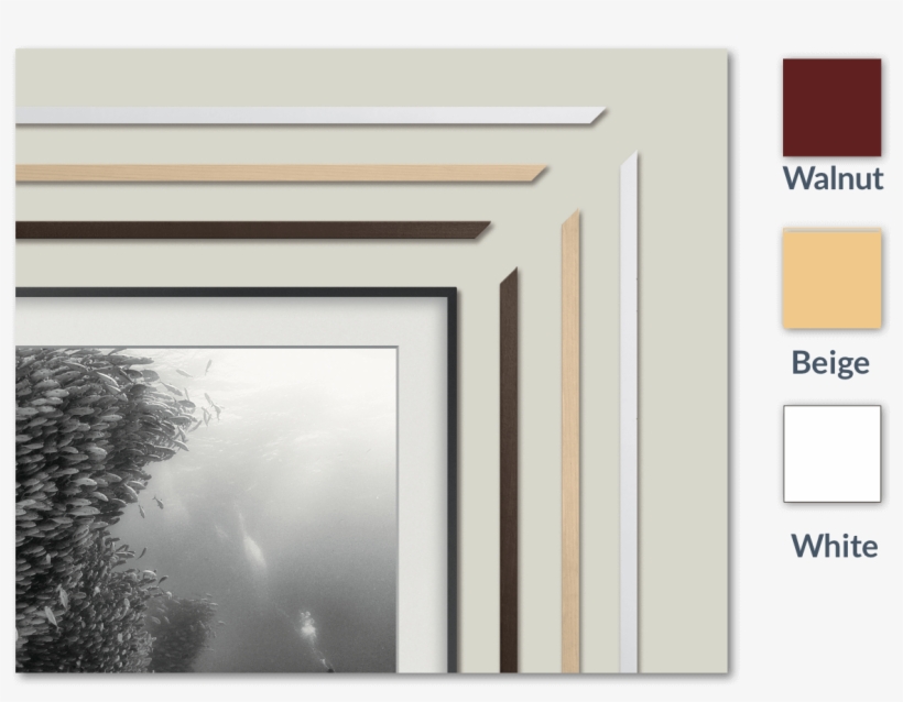 [frame Options] - Samsung The Frame Frames, transparent png download