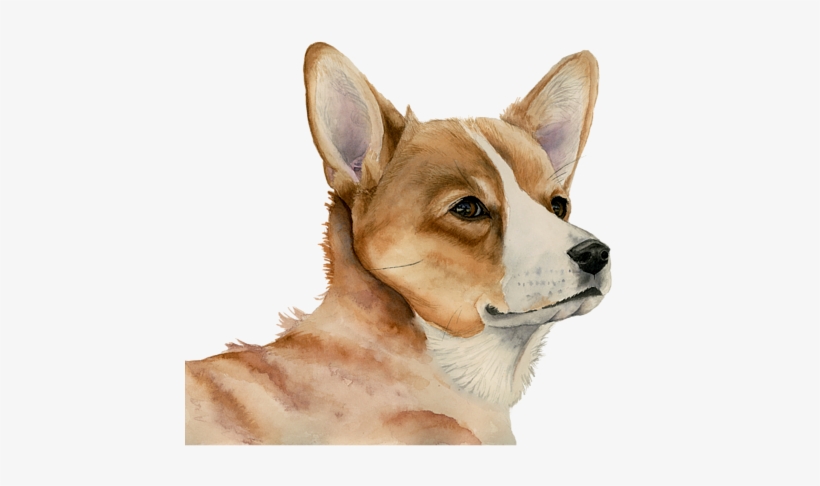 Bleed Area May Not Be Visible - Welsh Corgi Dog Painting, transparent png download