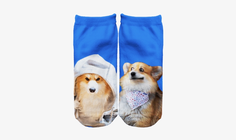 The Socks Are Live Separated At Birth And - Sock, transparent png download