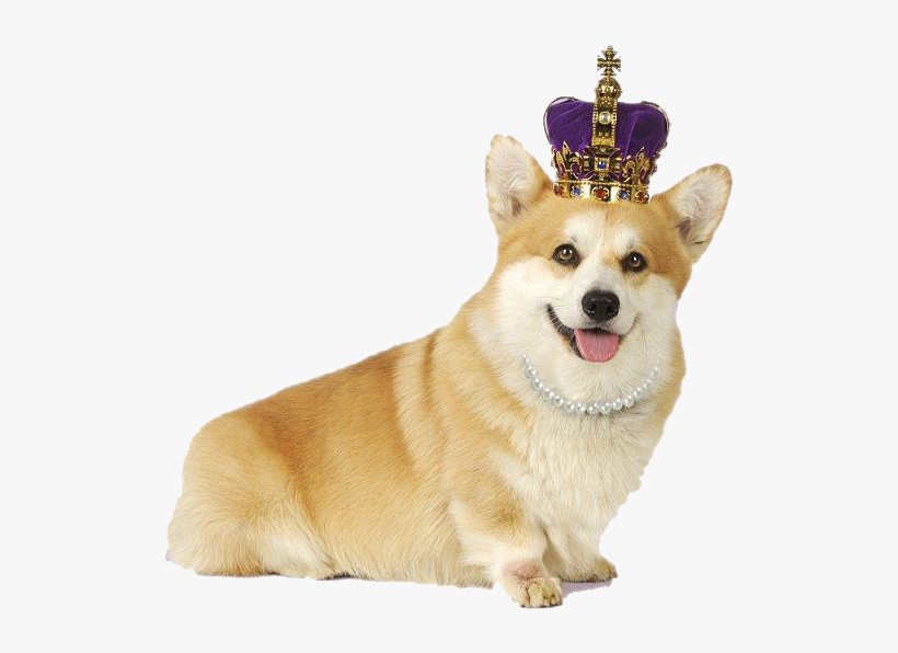 Boostinlyon, The Lyon-based Accelerator Or Incubator - Corgi Crown, transparent png download