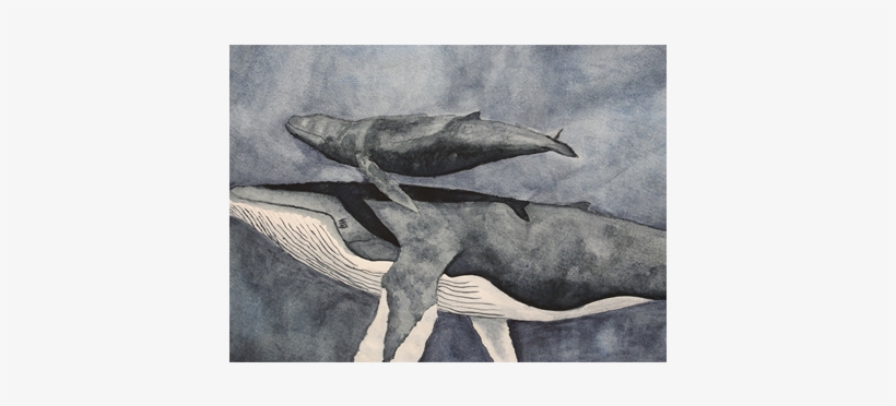 Thumb A - Keck - Drawing, transparent png download