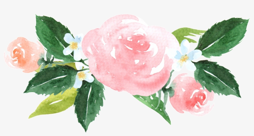 Pintado A Mano De Tres Rosas Png Transparente - Unicorn Pink And Gold, transparent png download