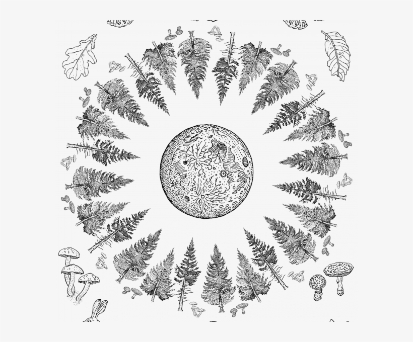 Forest Full Moon Magic - Fiechte Mit Reh Tattoo, transparent png download