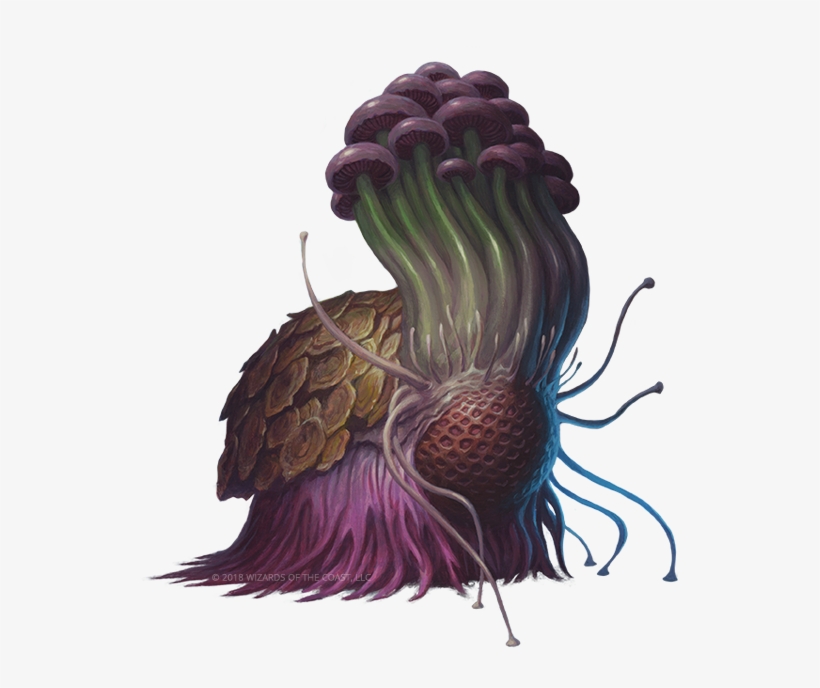 3 May - Saproling, transparent png download