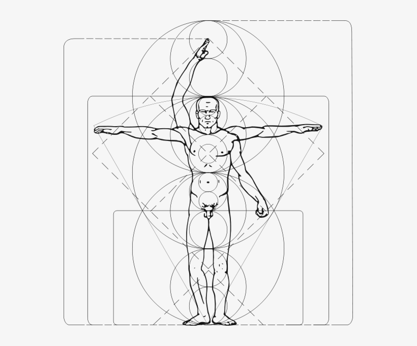 Vitruvian Man Clipart Png, transparent png download
