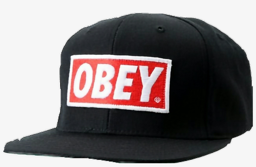 Report Abuse - Obey Snapback, transparent png download